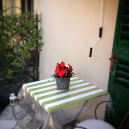 Terrazza Ginori Bed & Breakfast Sesto Fiorentino Oda fotoğraf